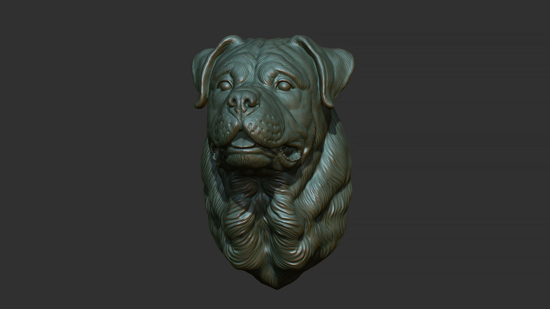 Rottweiler bust dog 3D print model_8