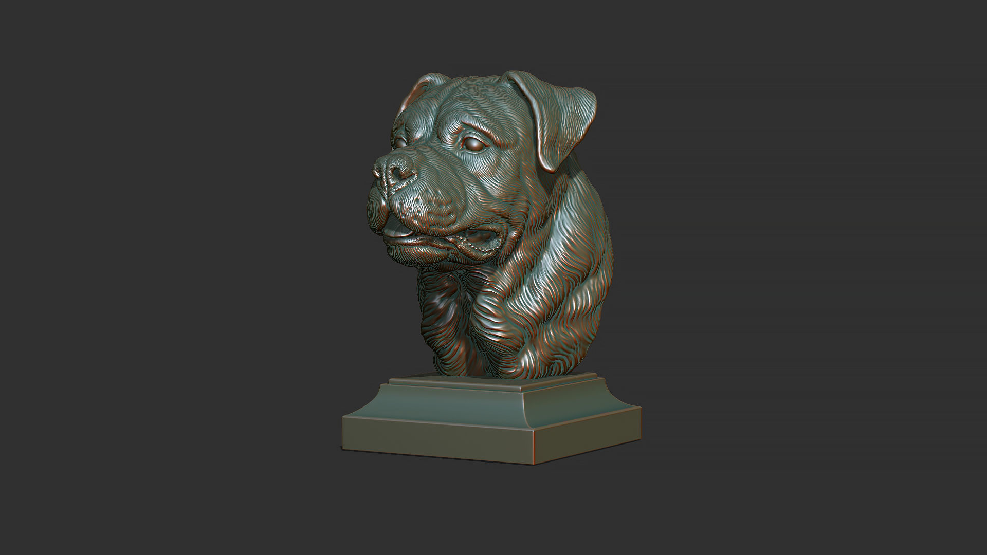 Rottweiler bust dog 3D print model_19