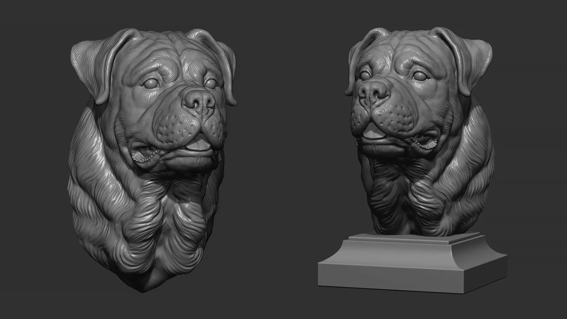 Rottweiler bust dog 3D print model_0