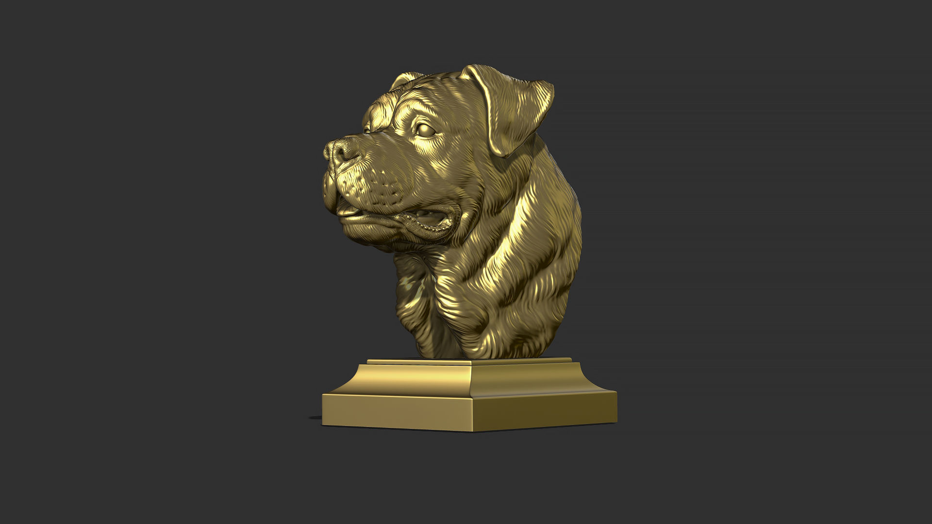 Rottweiler bust dog 3D print model_21