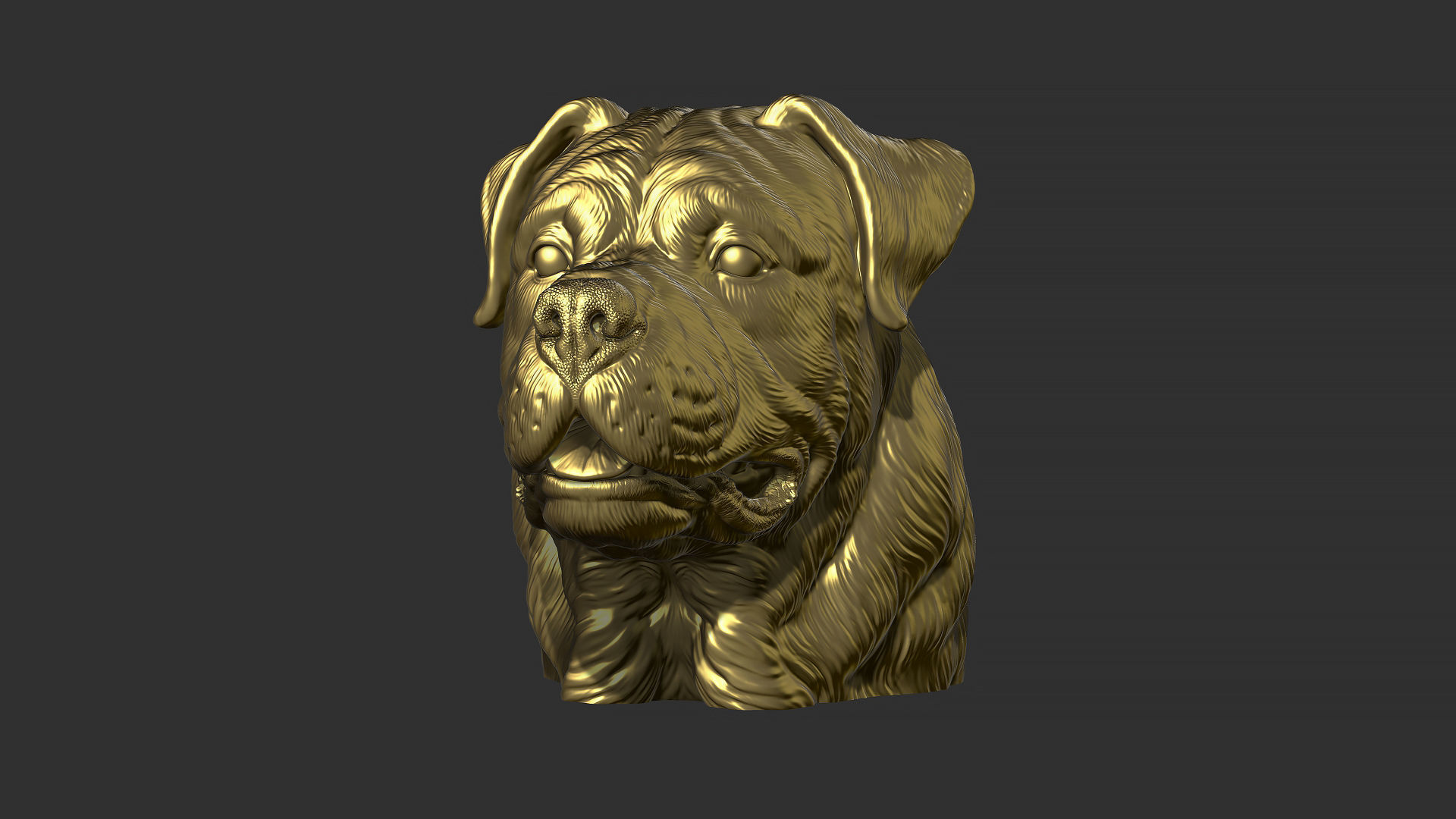 Rottweiler bust dog 3D print model_31
