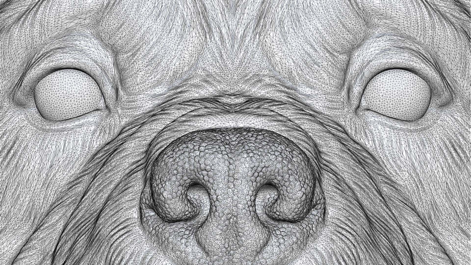 Rottweiler bust dog 3D print model_33