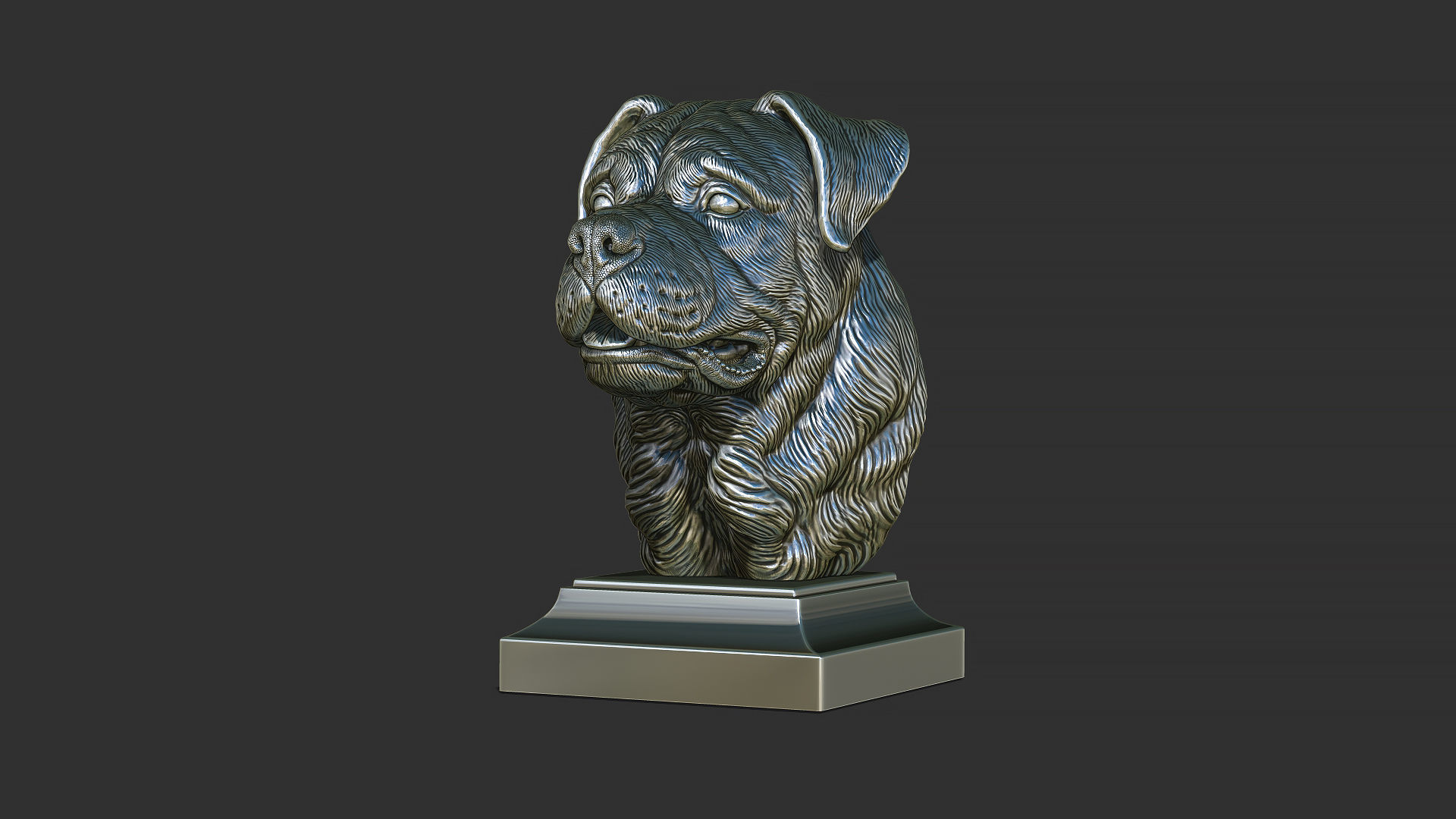 Rottweiler bust dog 3D print model_23