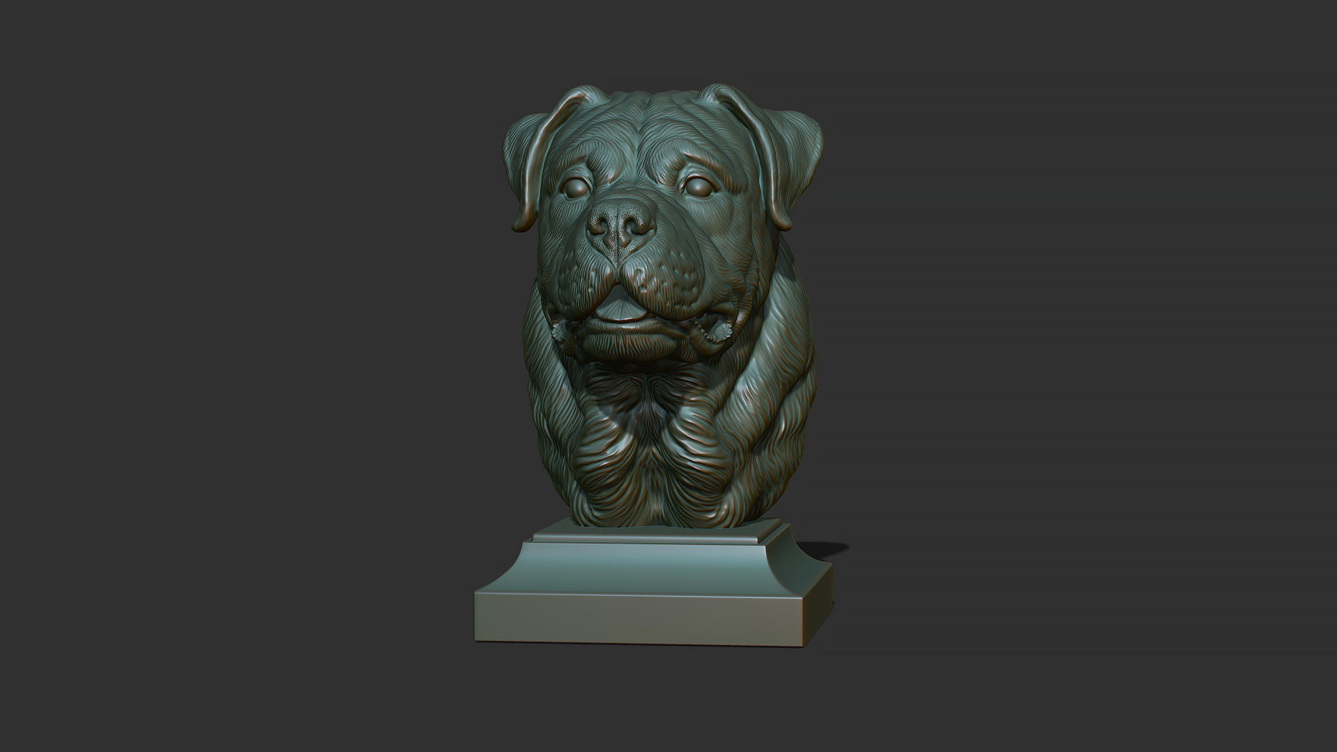 Rottweiler bust dog 3D print model_17