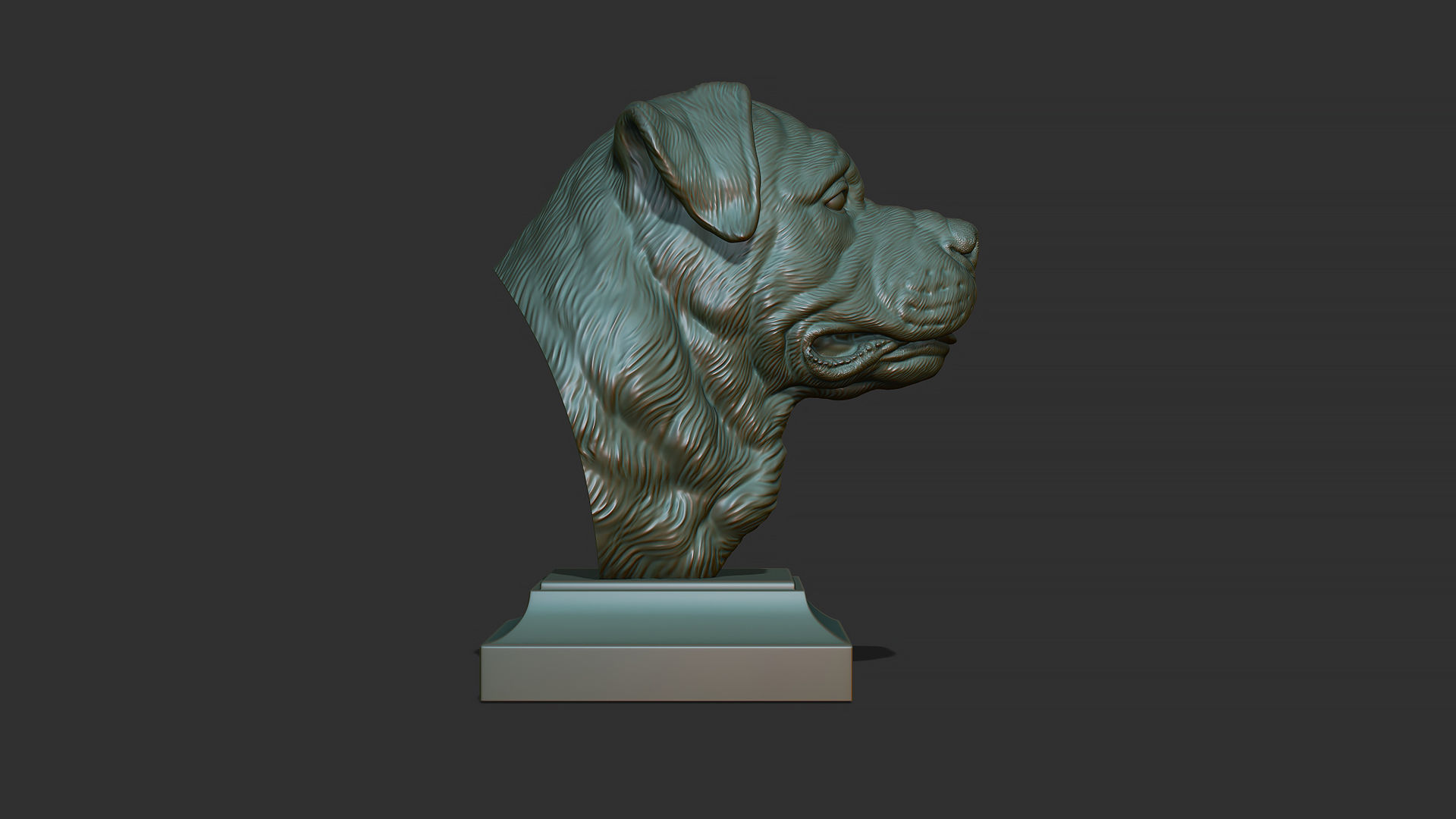 Rottweiler bust dog 3D print model_18