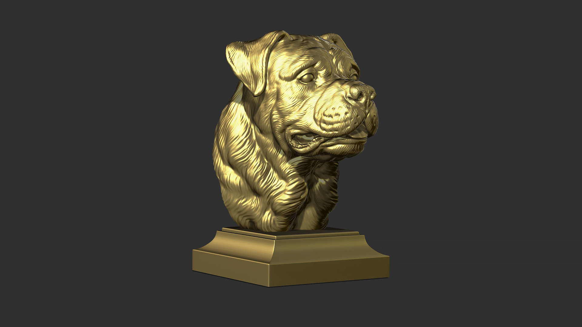 Rottweiler bust dog 3D print model_22