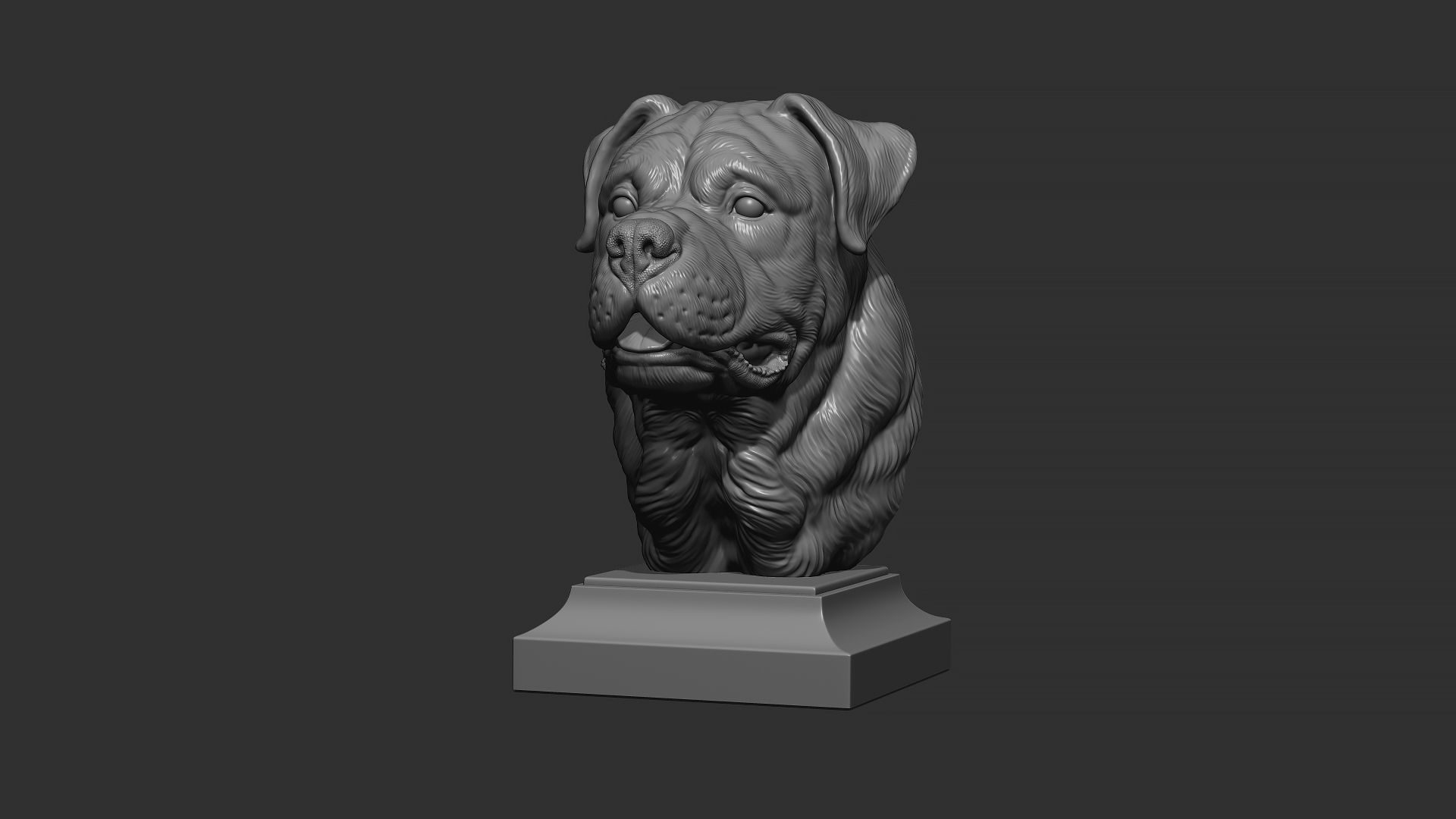Rottweiler bust dog 3D print model_16