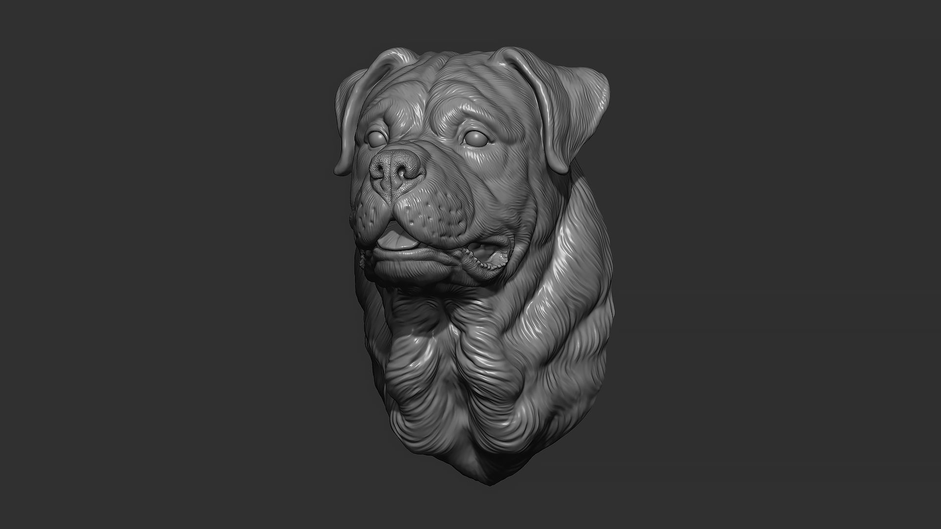 Rottweiler bust dog 3D print model_2