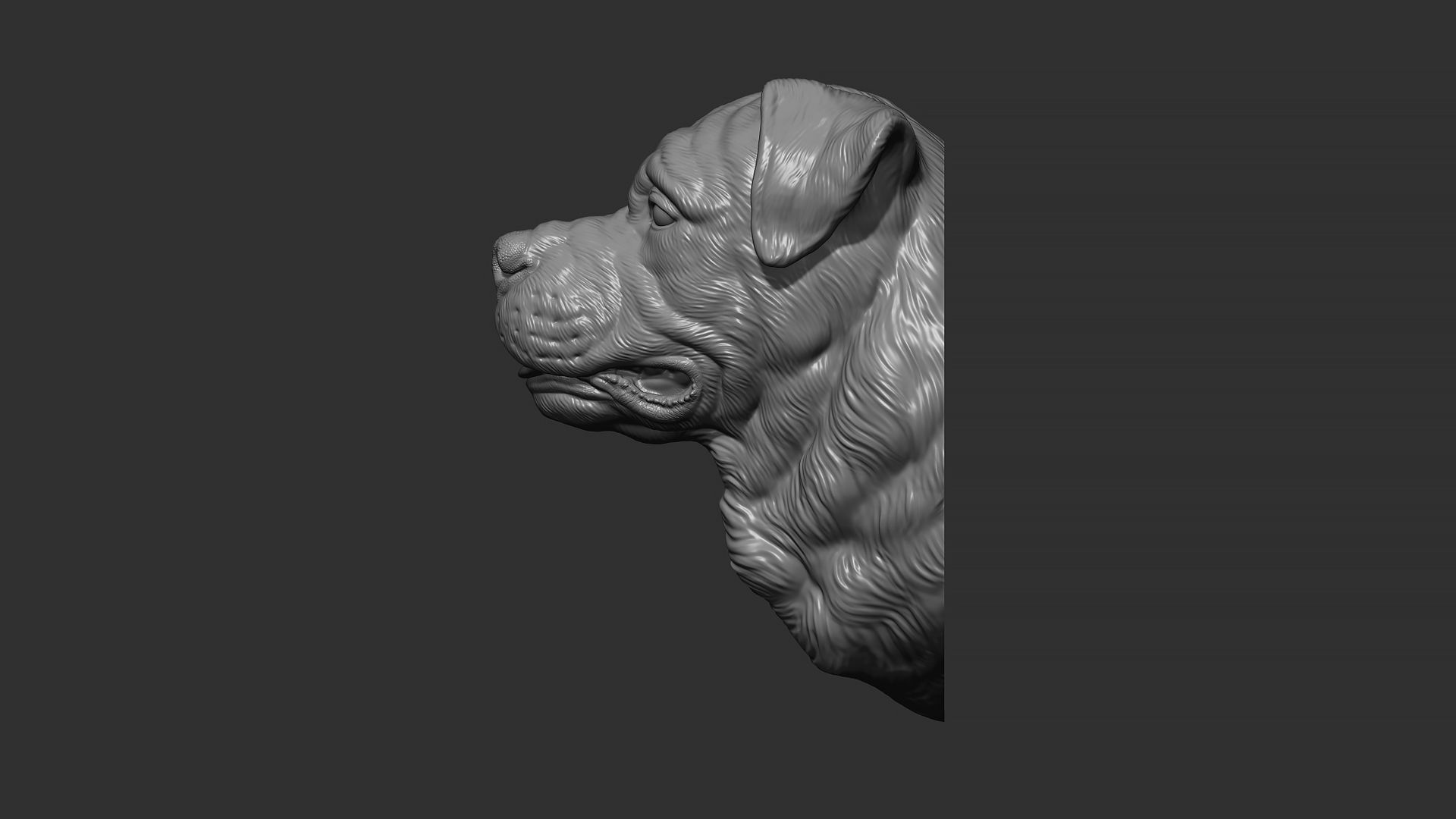 Rottweiler bust dog 3D print model_6