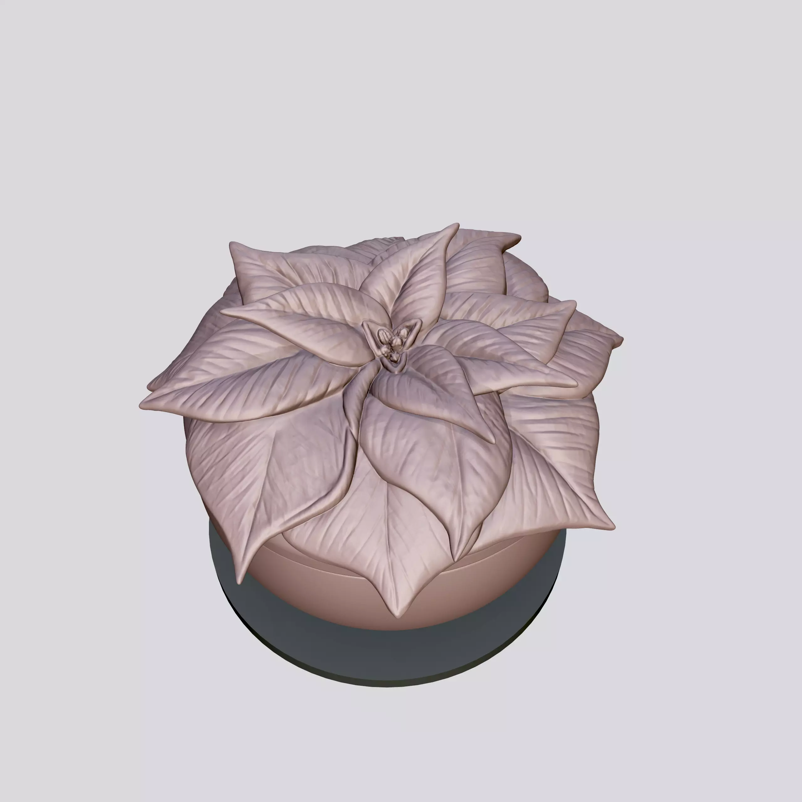 Poinsettia flower pot 3D print model_0