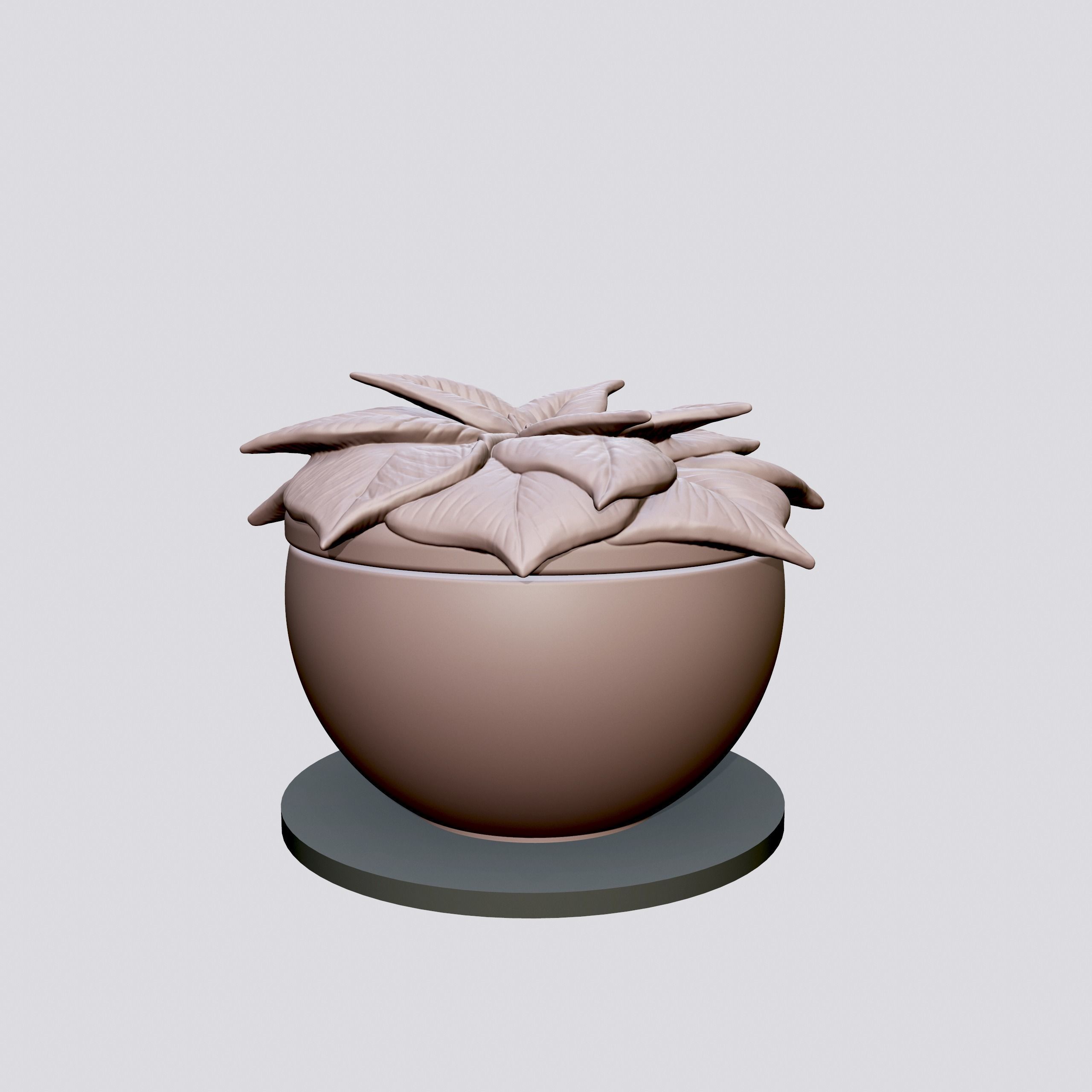 Poinsettia flower pot 3D print model_1