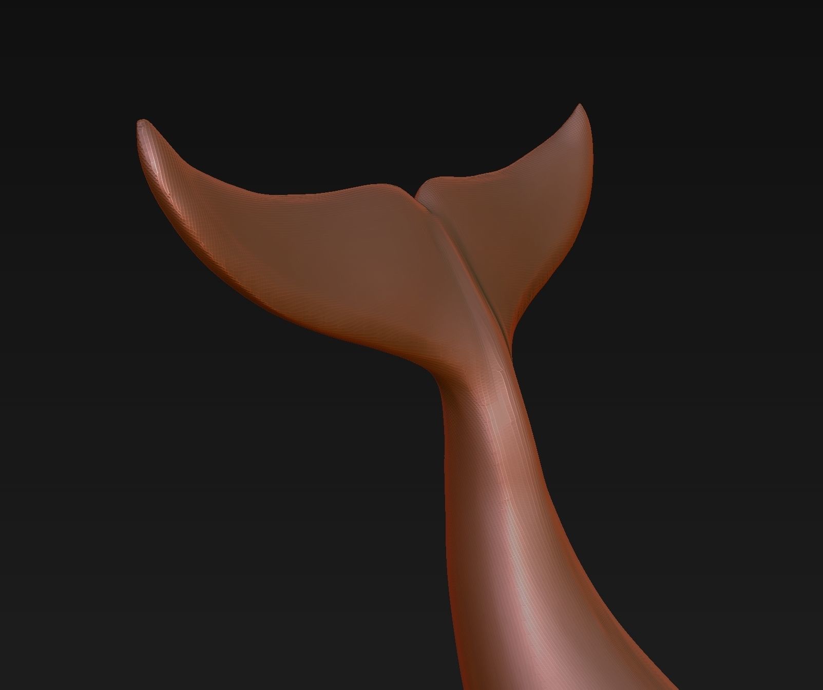 Orca tail 3D print model_22