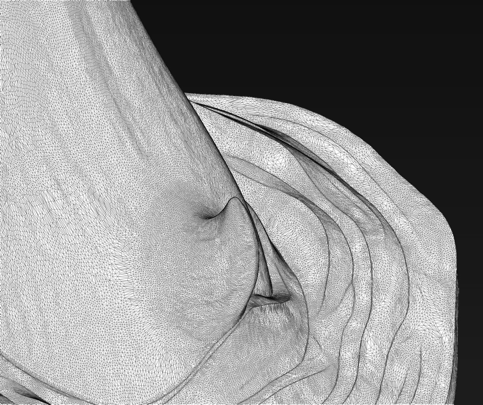 Orca tail 3D print model_31