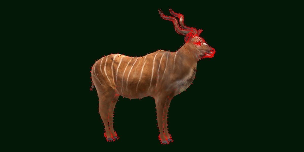 Greater Kudu Antelope Animal  Low-poly 3D model_9