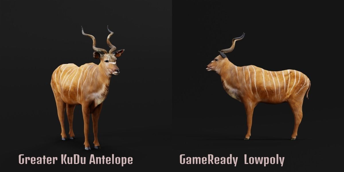 Greater Kudu Antelope Animal  Low-poly 3D model_2