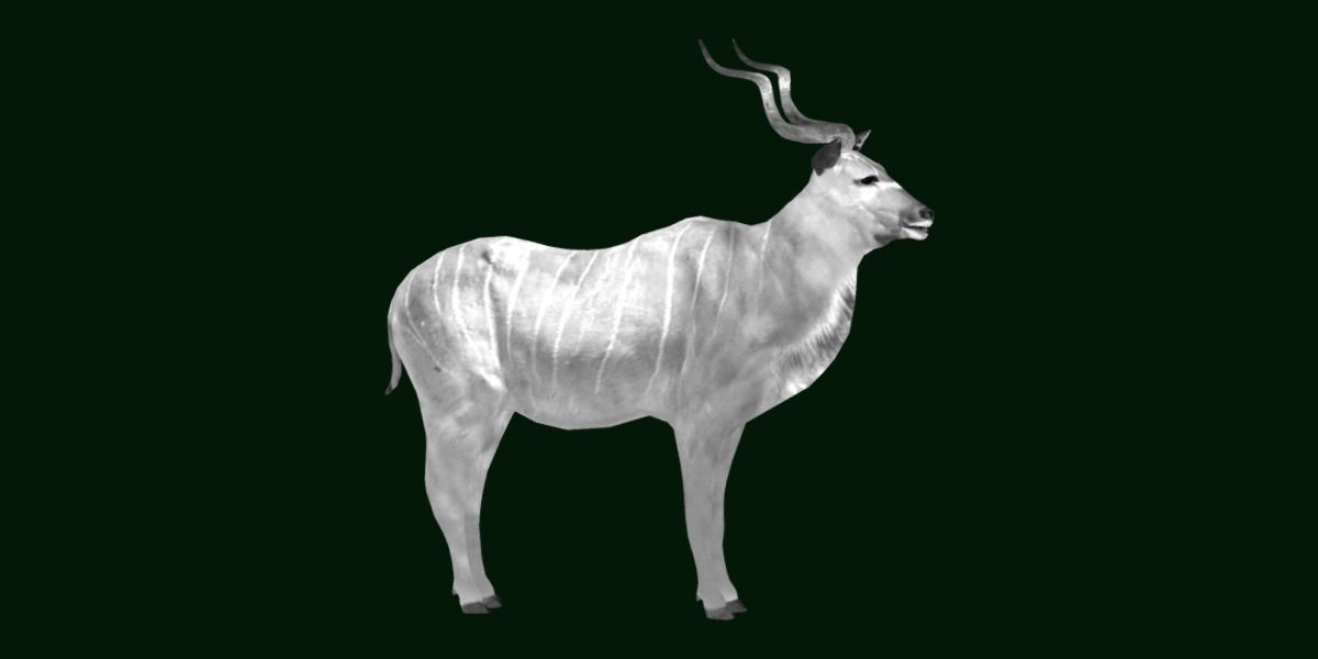 Greater Kudu Antelope Animal  Low-poly 3D model_21