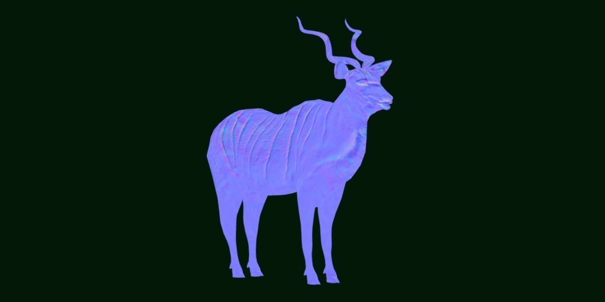 Greater Kudu Antelope Animal  Low-poly 3D model_19