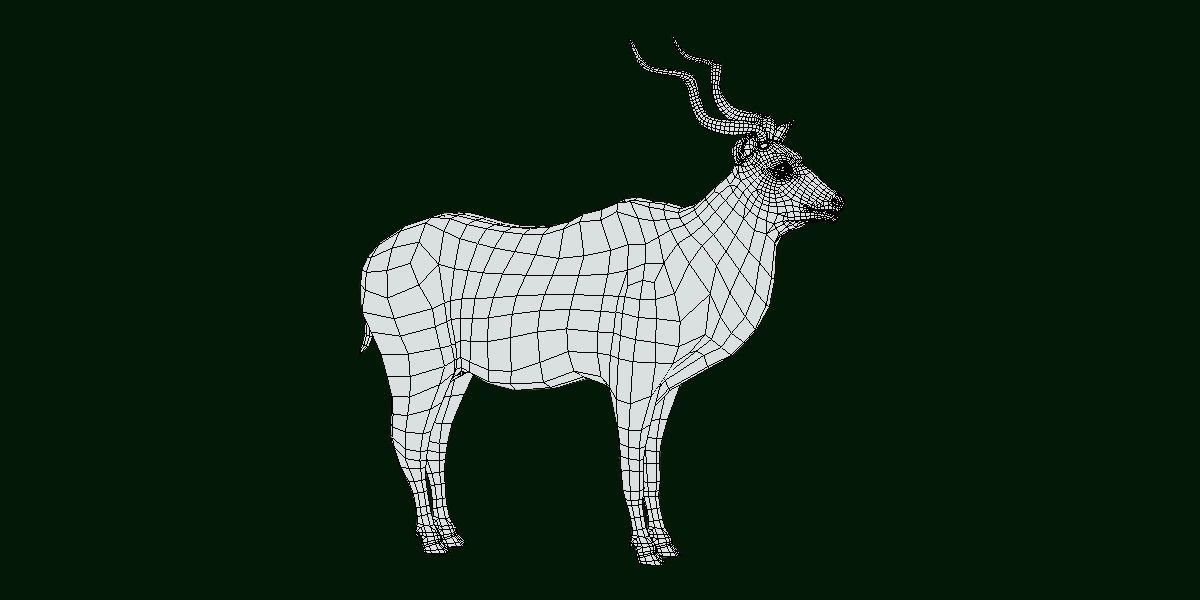 Greater Kudu Antelope Animal  Low-poly 3D model_8