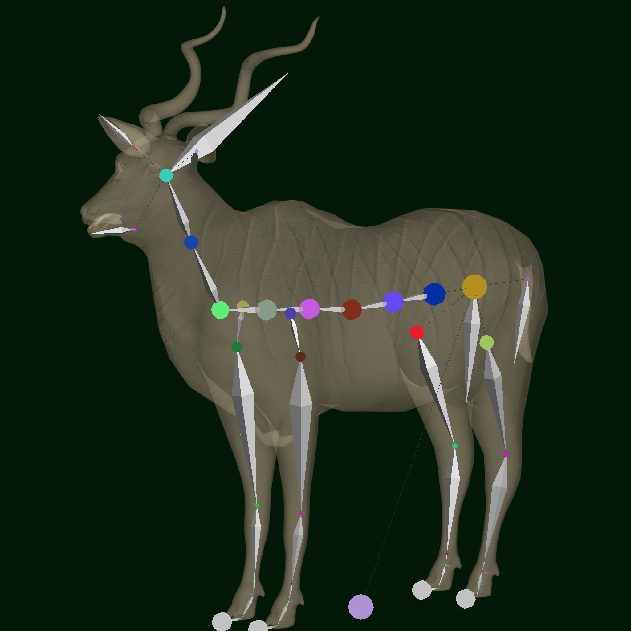 Greater Kudu Antelope Animal  Low-poly 3D model_13