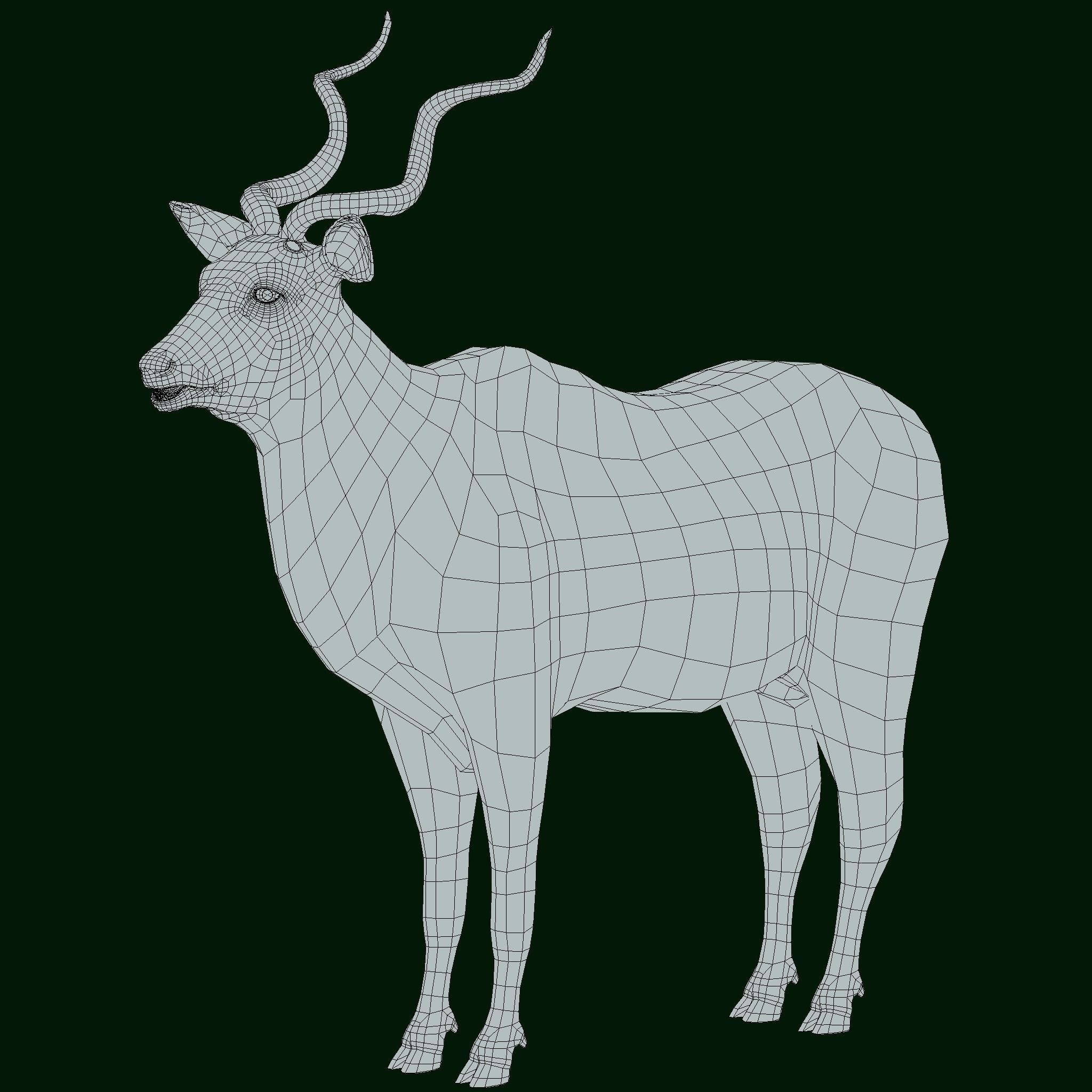 Greater Kudu Antelope Animal  Low-poly 3D model_15