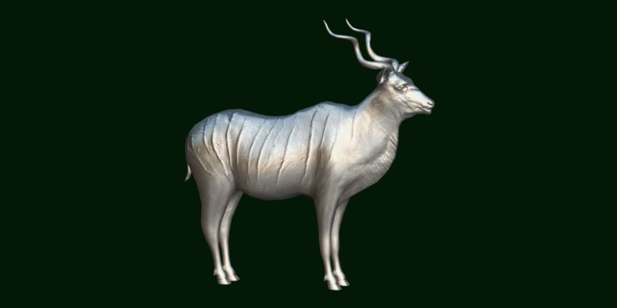 Greater Kudu Antelope Animal  Low-poly 3D model_7