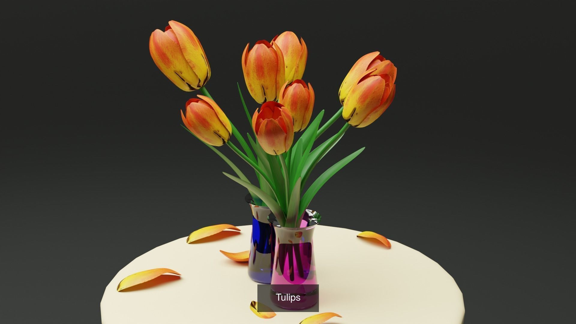Plant and Flower 3D Model Collection_47