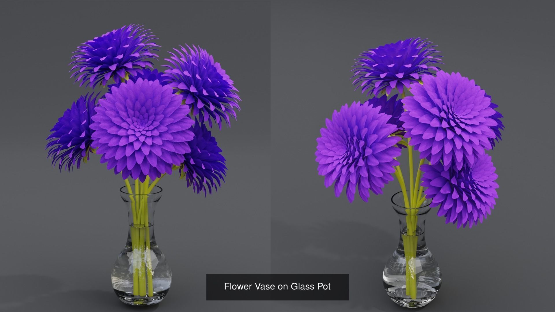 Plant and Flower 3D Model Collection_66