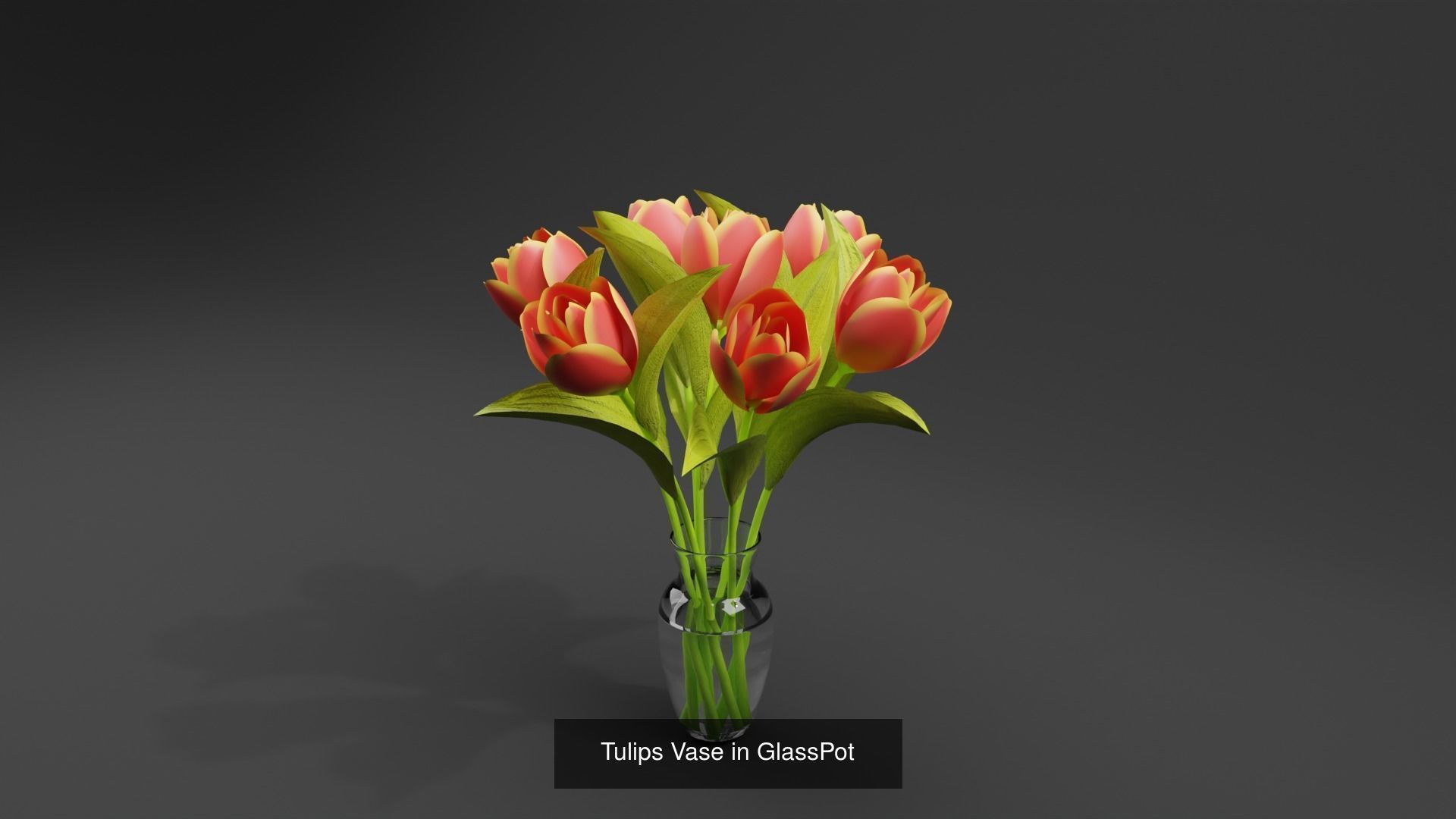 Plant and Flower 3D Model Collection_36