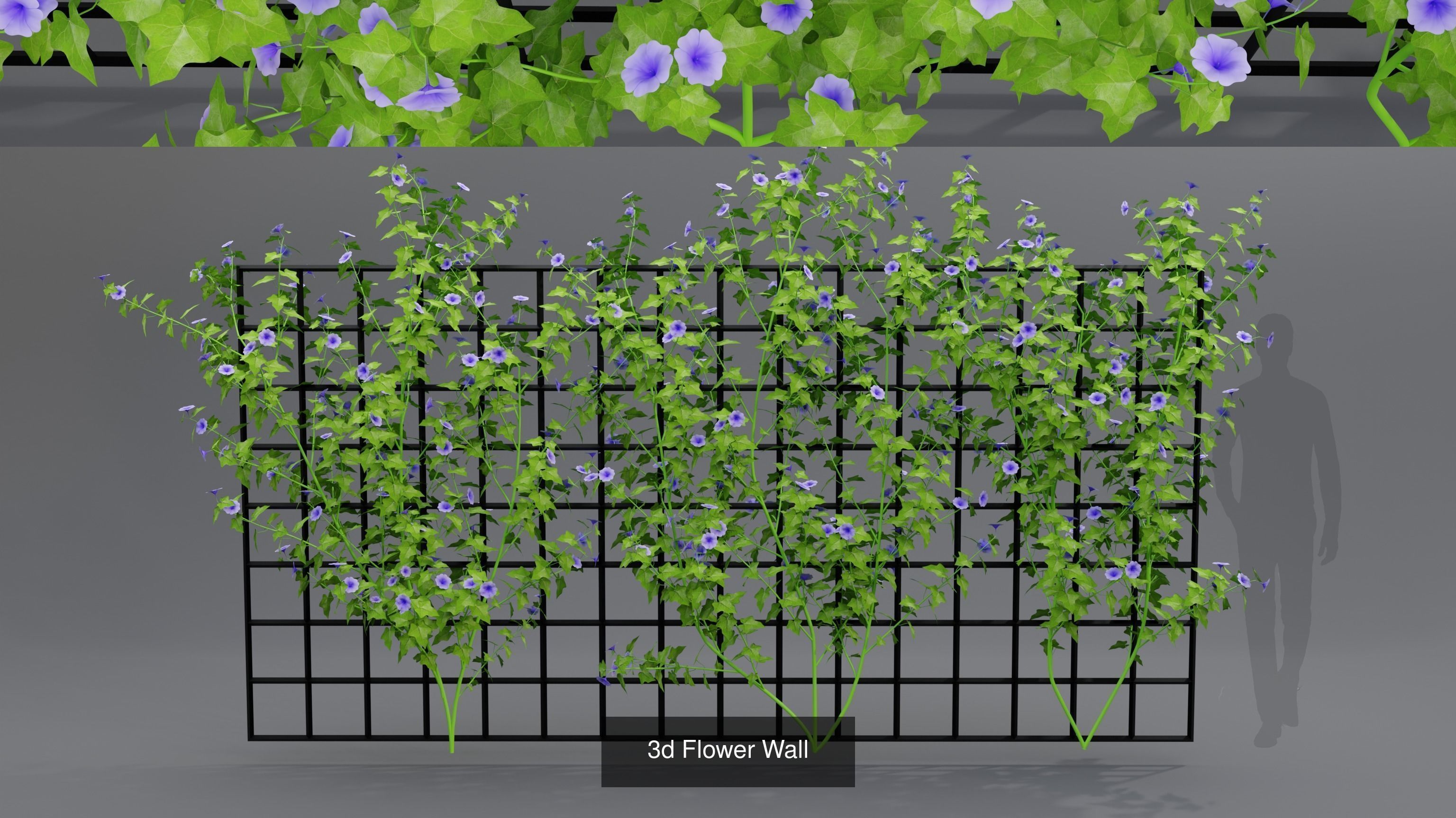 Plant and Flower 3D Model Collection_56