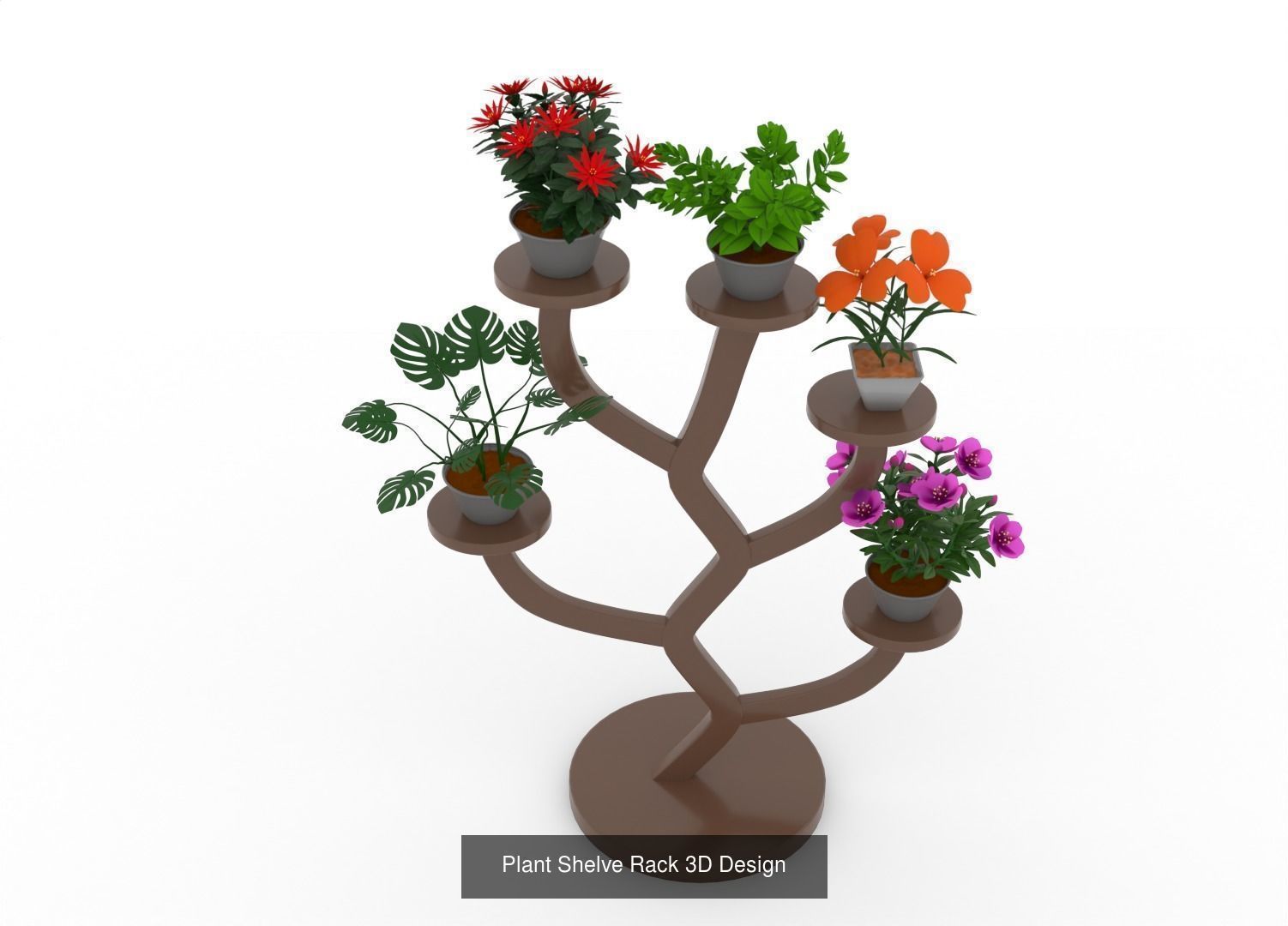 Plant and Flower 3D Model Collection_25