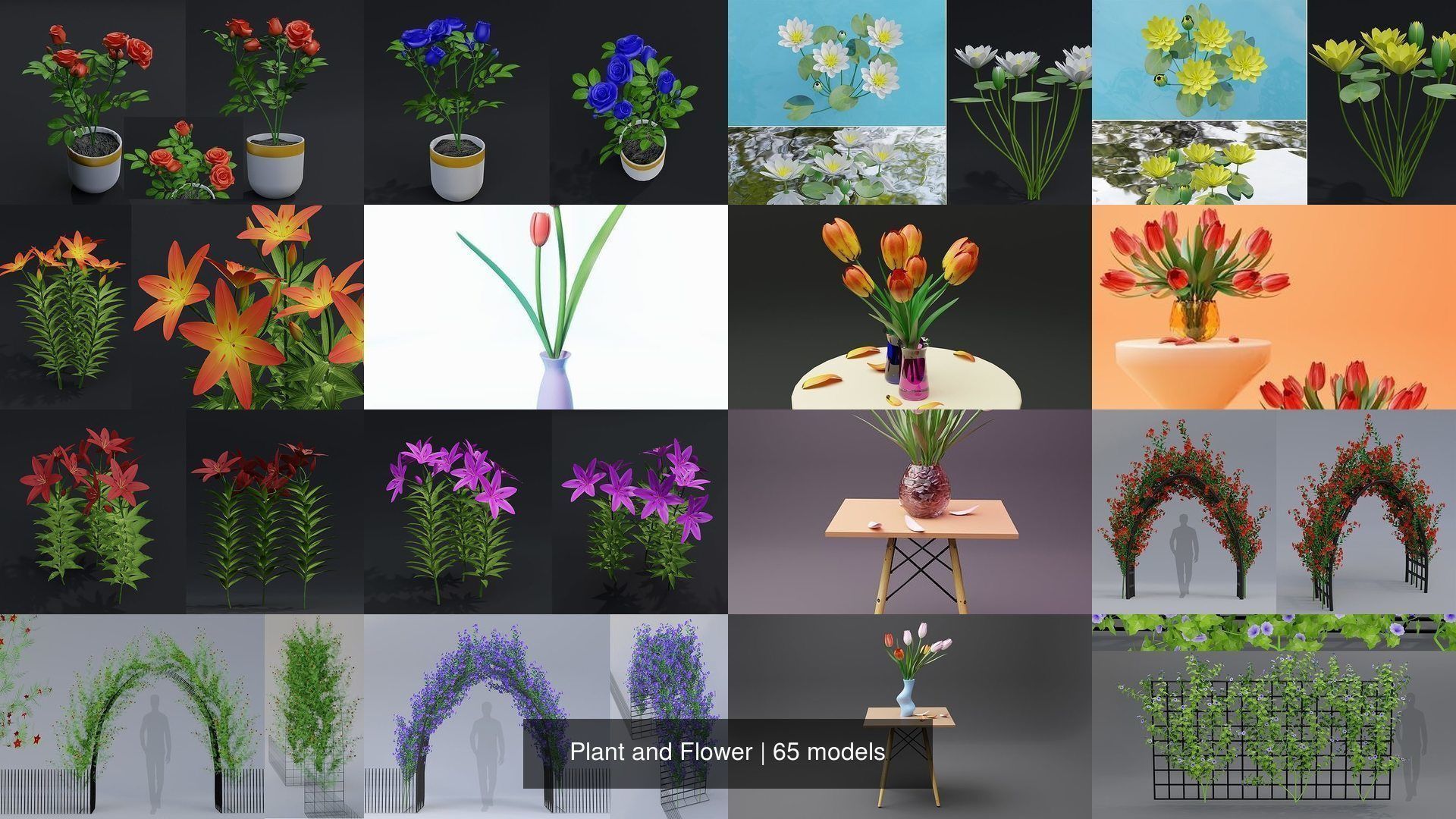Plant and Flower 3D Model Collection_4