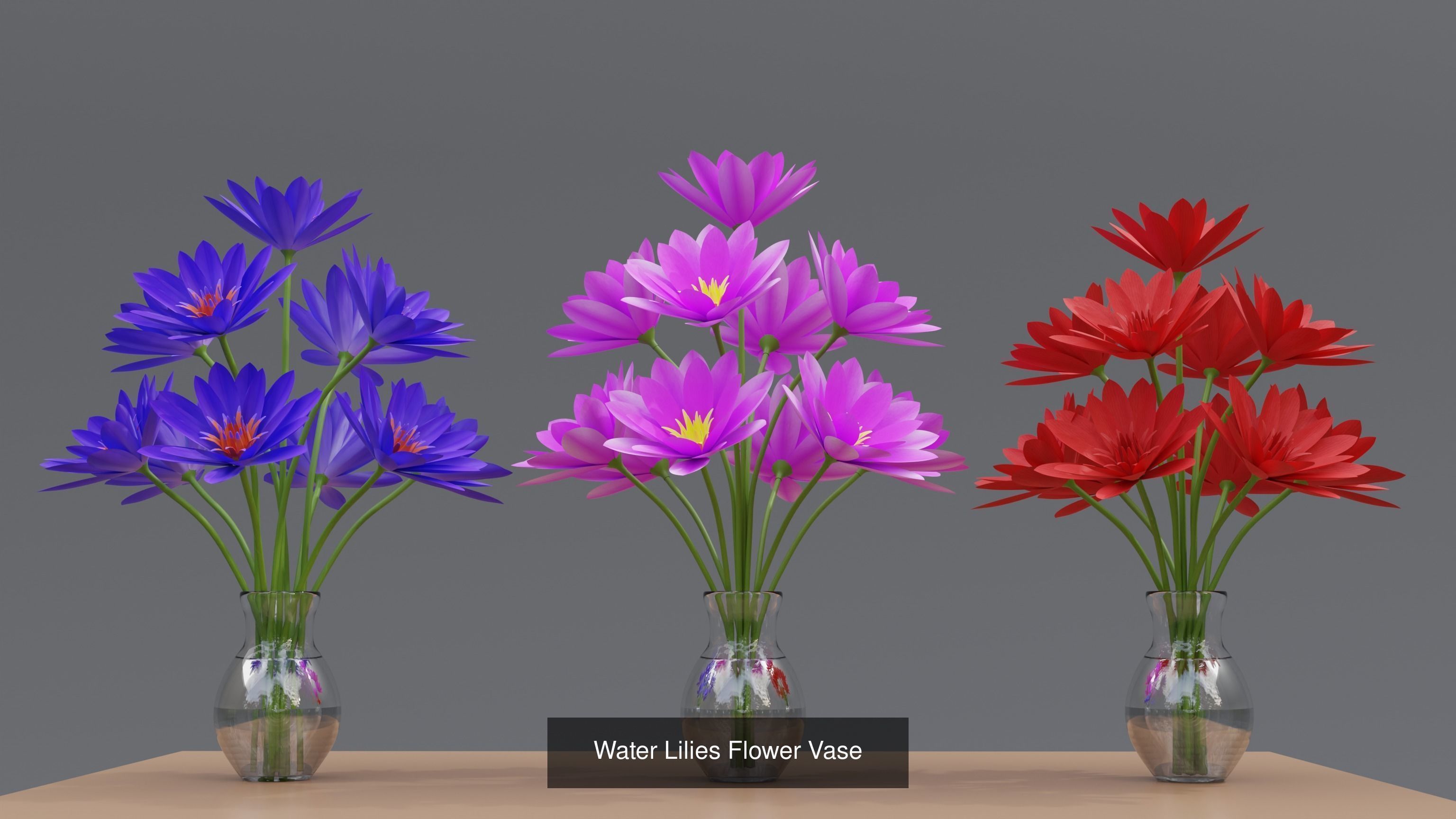 Plant and Flower 3D Model Collection_57