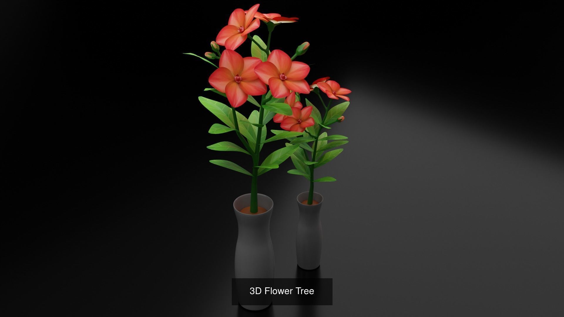 Plant and Flower 3D Model Collection_15