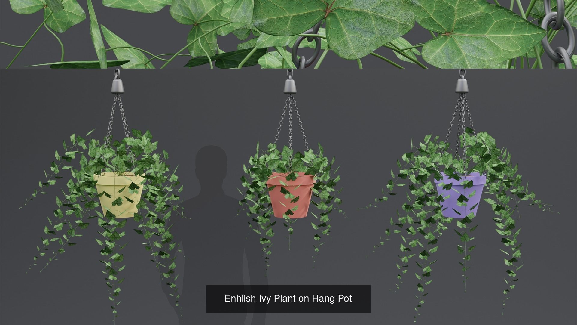 Plant and Flower 3D Model Collection_59