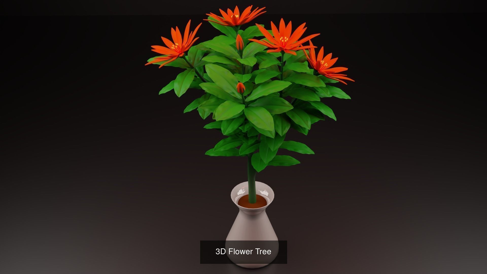 Plant and Flower 3D Model Collection_17