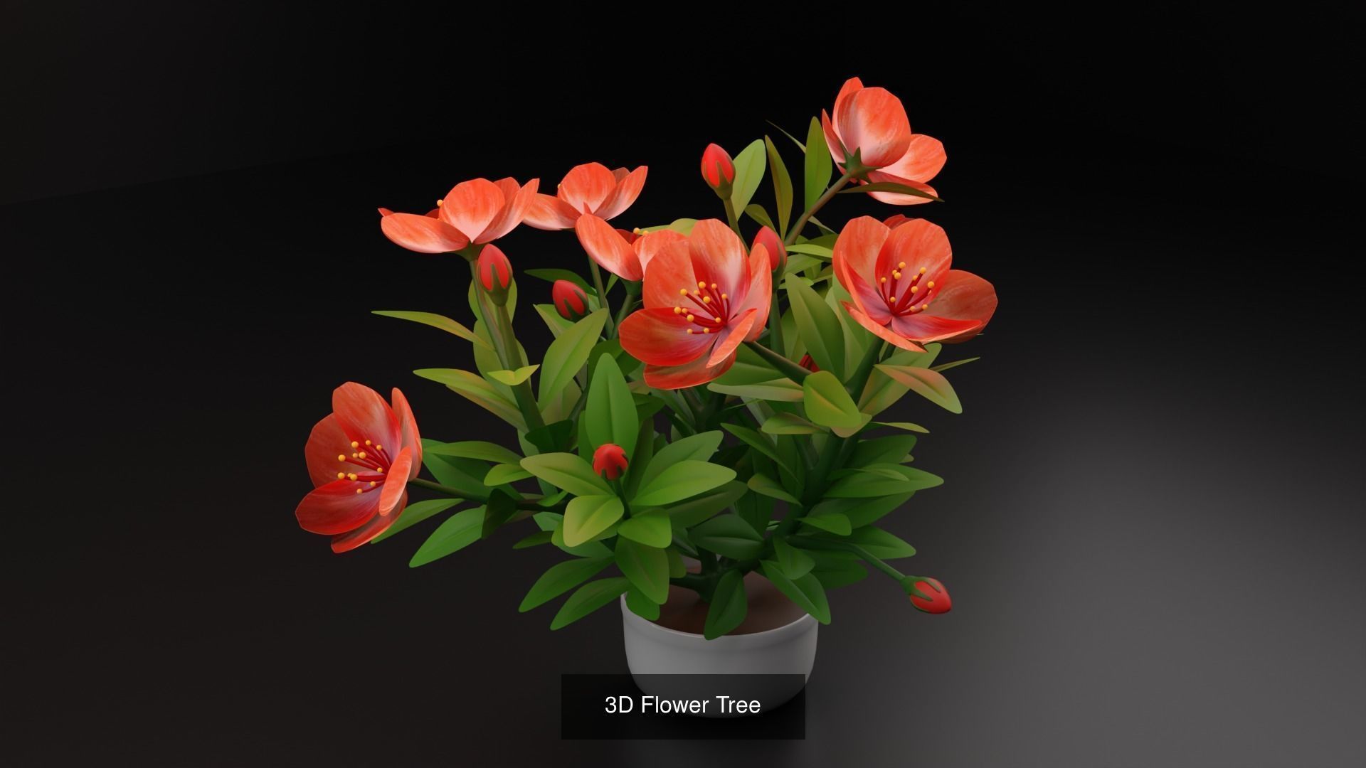 Plant and Flower 3D Model Collection_16