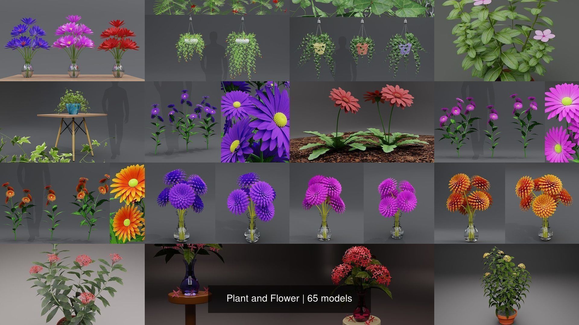 Plant and Flower 3D Model Collection_6