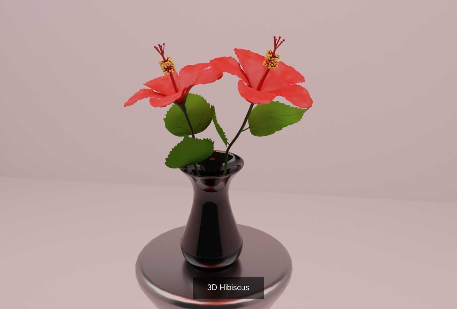 Plant and Flower 3D Model Collection_30