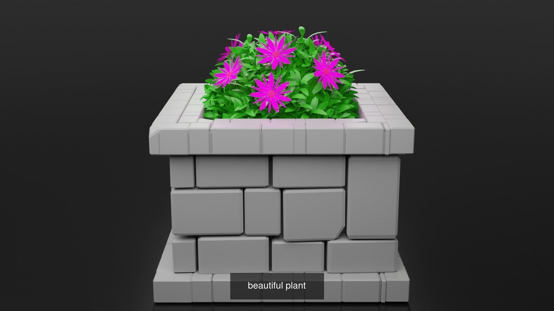 Plant and Flower 3D Model Collection_12