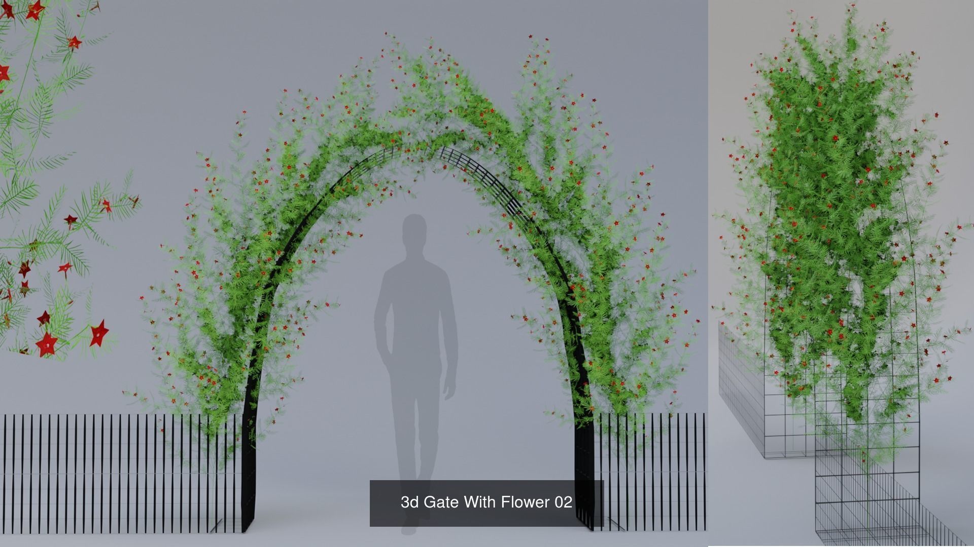 Plant and Flower 3D Model Collection_53