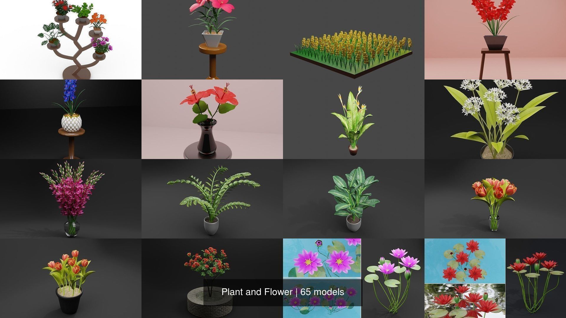 Plant and Flower 3D Model Collection_2