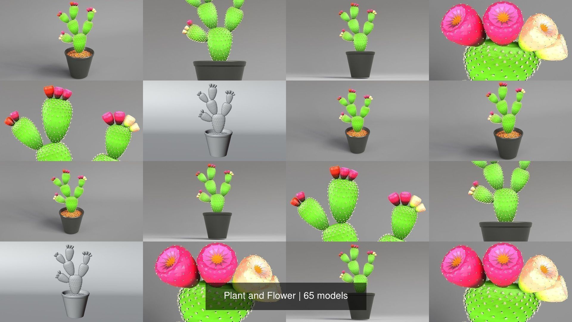 Plant and Flower 3D Model Collection_8
