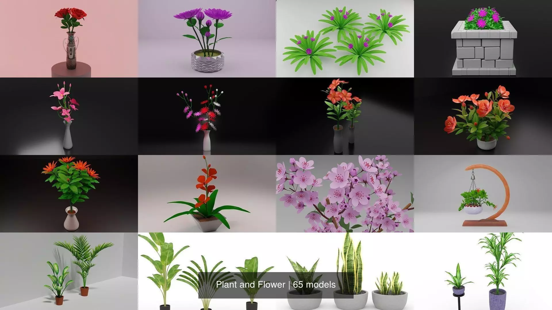 Plant and Flower 3D Model Collection_0