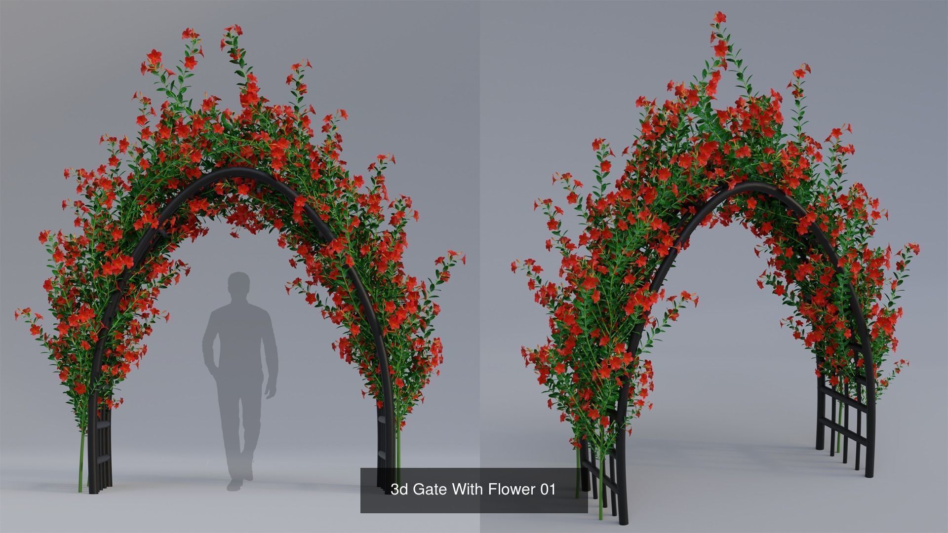 Plant and Flower 3D Model Collection_52