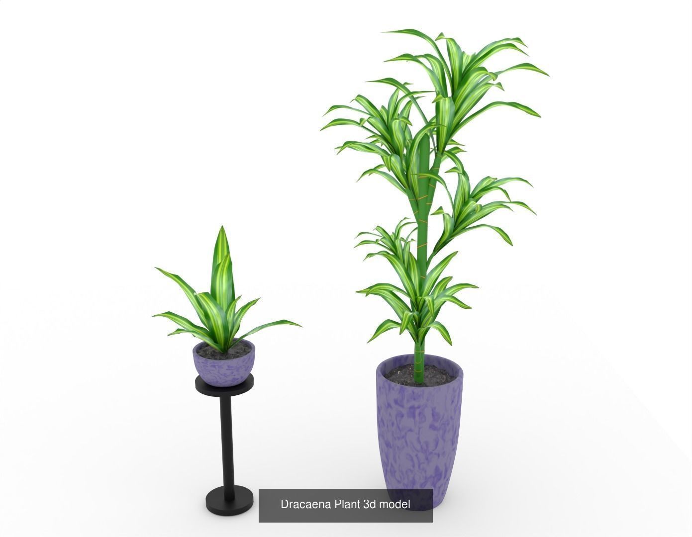 Plant and Flower 3D Model Collection_24