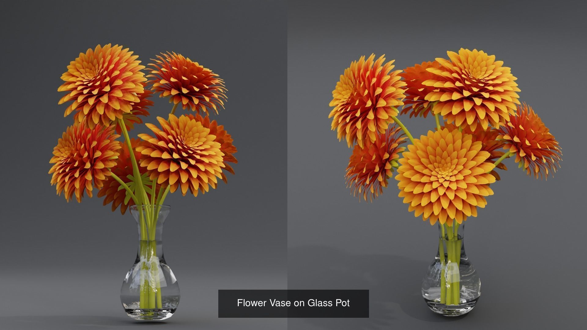 Plant and Flower 3D Model Collection_68