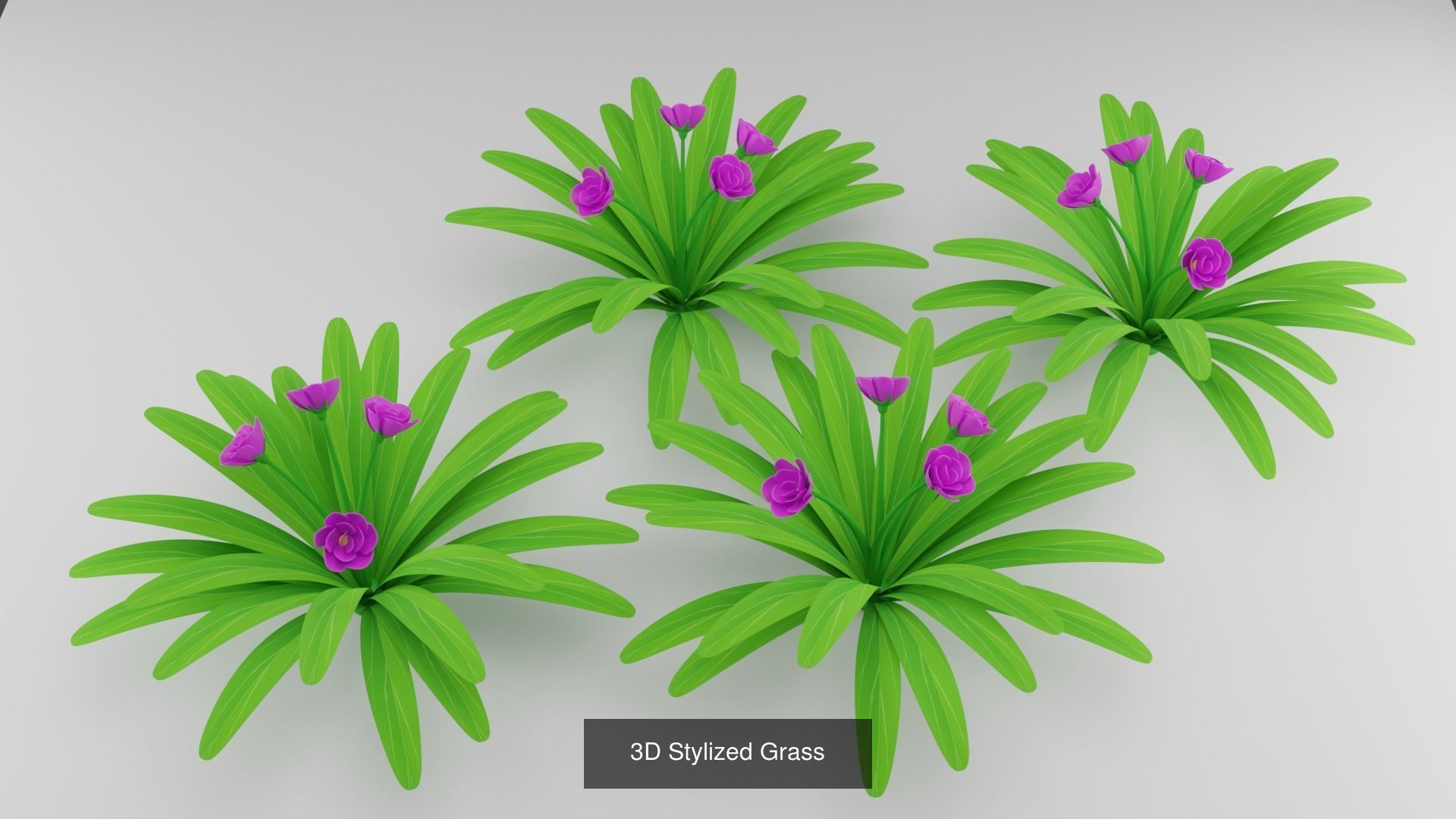 Plant and Flower 3D Model Collection_11