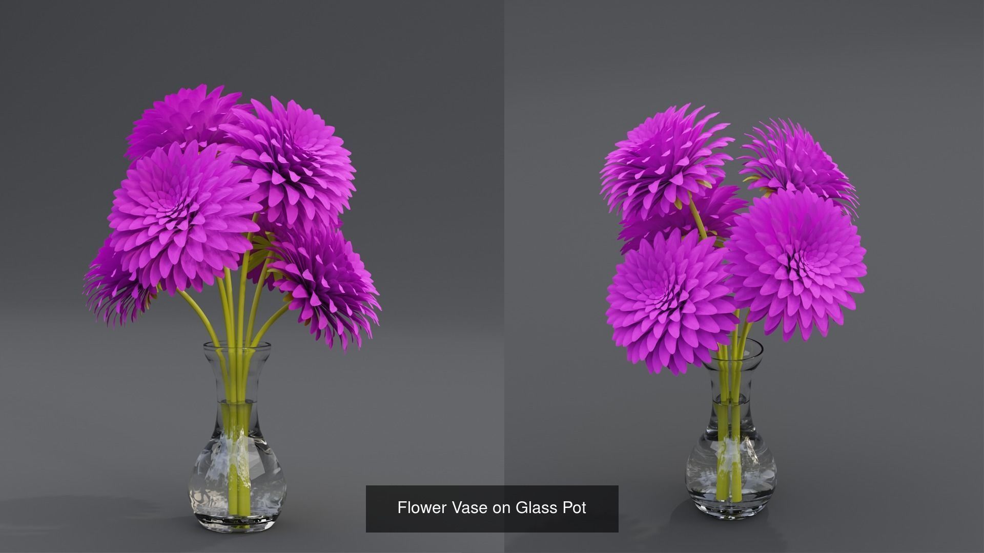 Plant and Flower 3D Model Collection_67