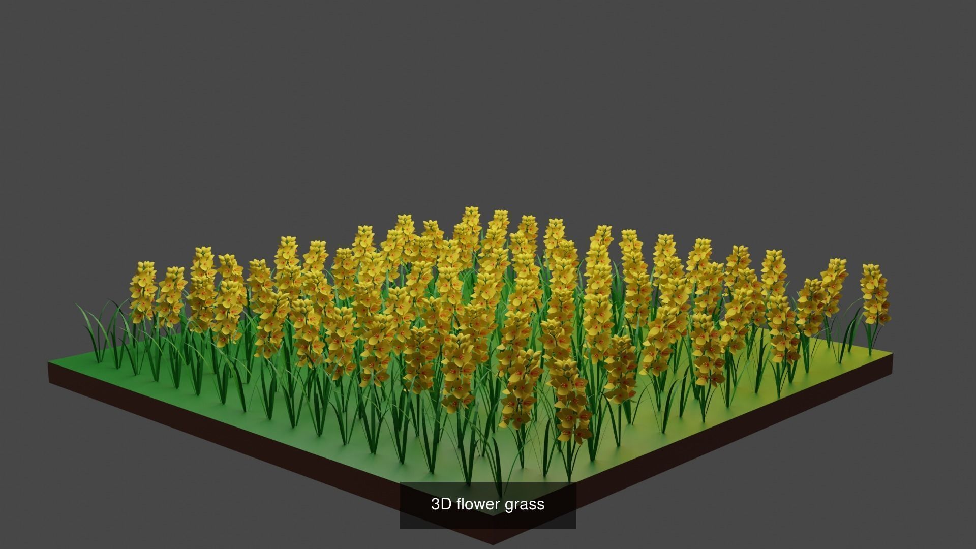 Plant and Flower 3D Model Collection_27