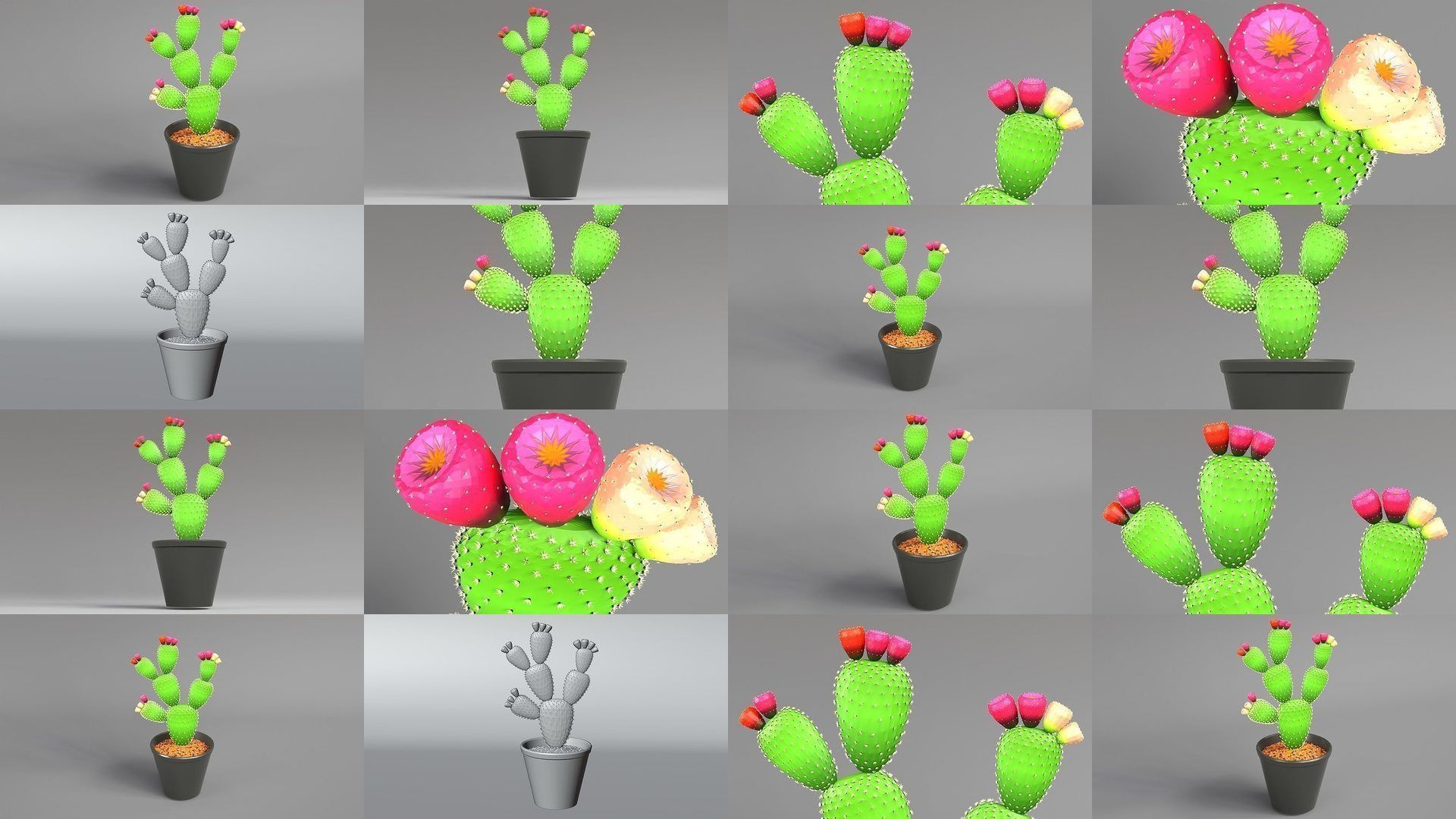 Plant and Flower 3D Model Collection_7